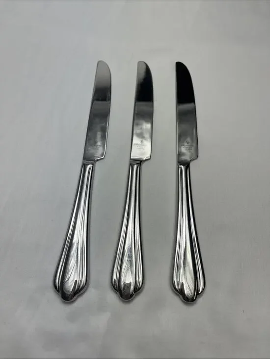 Waterford Linear Stainless Steel Dinner Knife Vietnam Set of 3 glossy finish