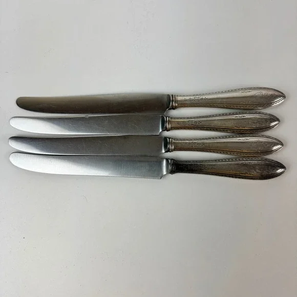 1847 Rogers Bros Argosy Silverplate Dinner Knives Insico Stainless Set of 4 9.5