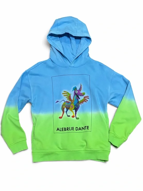 Disney Coco Alebrije Dante Hoodie Kids 9 10 Blue Green Ombre Sweater Boys Girls