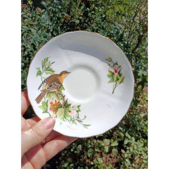 Tuscan Audubon Birds Baltimore Oriole Bone China Saucer only - NO CUP