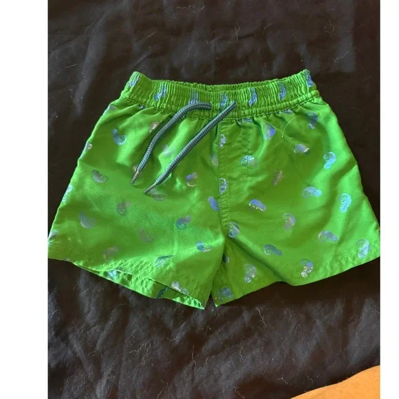 Floatimini Boys Green Chameleon Foil Print Swim Trunks Shorts 18M