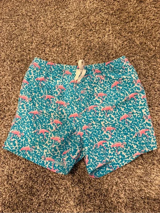 chubbies Teal Swim Shorts with Pink Flamingo Print