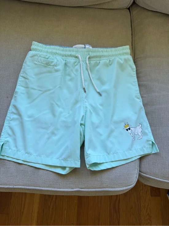 Kids Mint Green Swim Trunks with Playful Dog Graphic