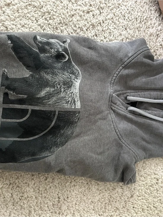 The North Face Grey Bear Graphic Zip-Up CV Hoodie