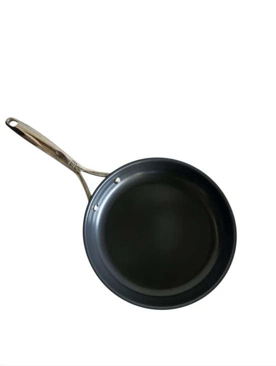 ZWILLING JA Henckels 10