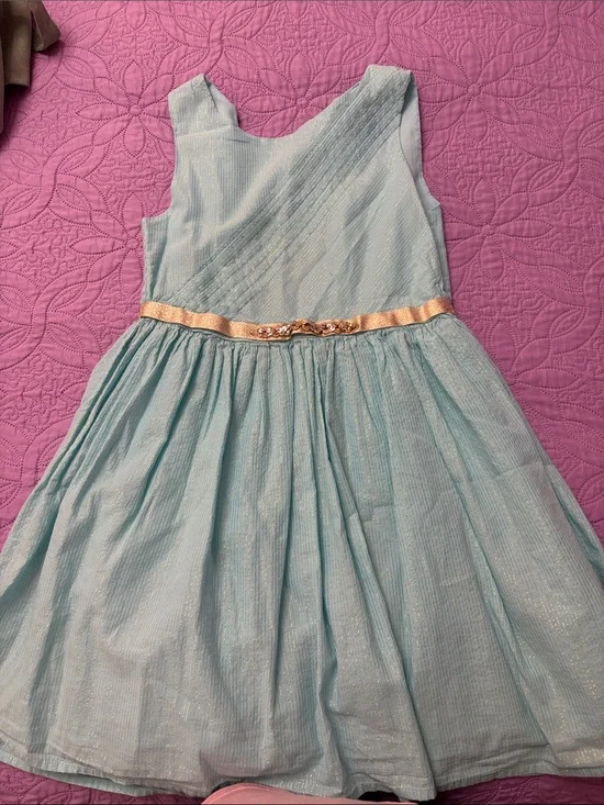 The Children's Place Light Blue Party Dress with Gold Belt Accent