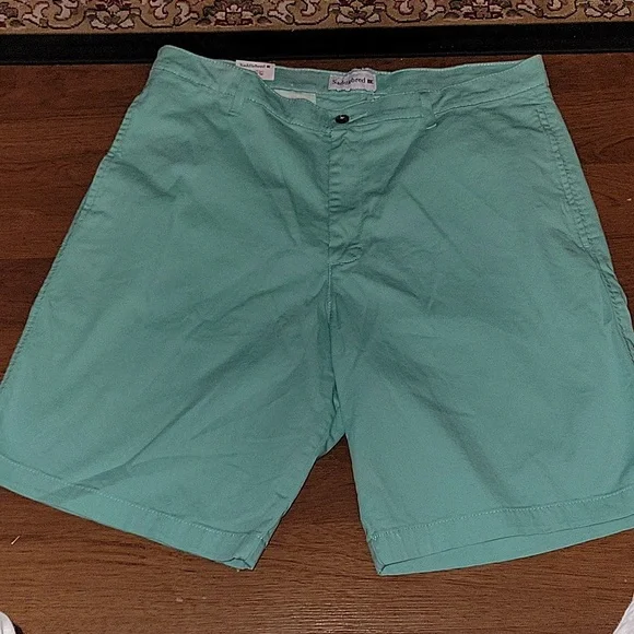 Saddlebred ComfortFlex aqua flat front 9