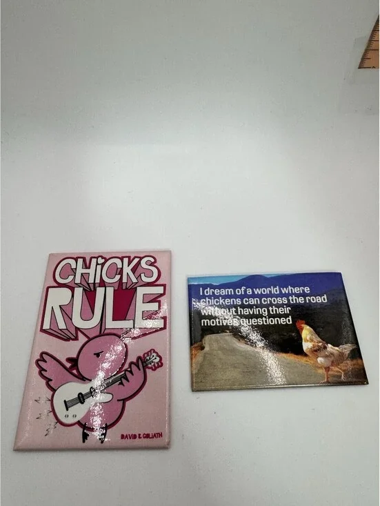 2 Novelty “chicken” Magnets - Chicks Rule