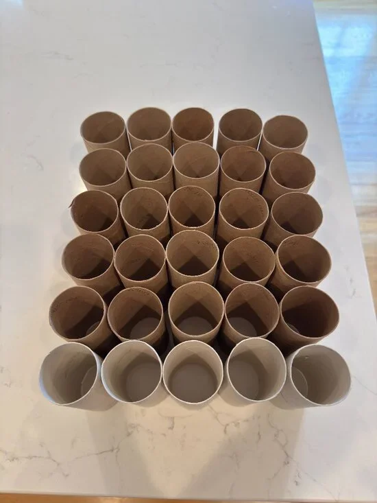 30 Empty Toilet Paper Rolls Cardboard Tubes Craft Art Project School Camp Kids