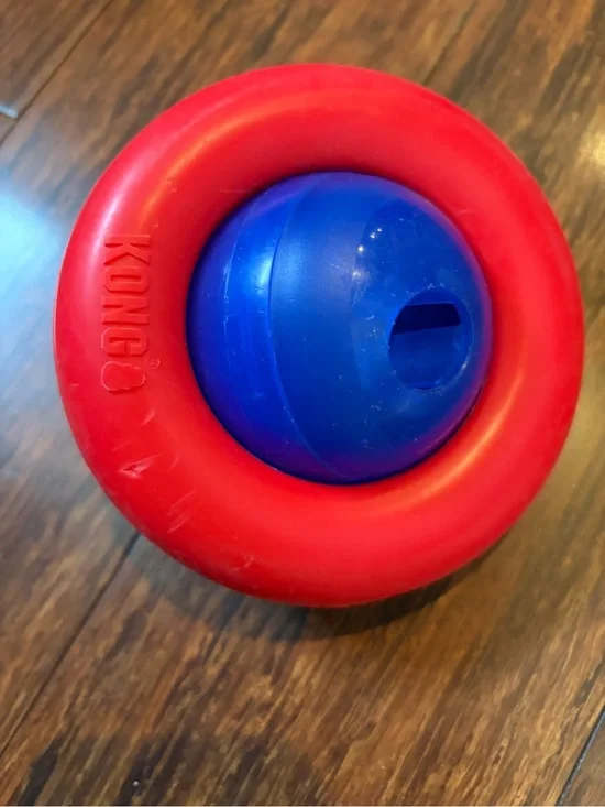 Large Kong gyro treat dispenser
