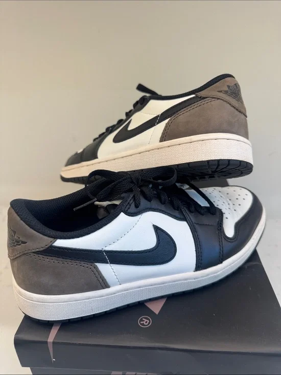 Air Jordan 1 Retro Low OG shoes