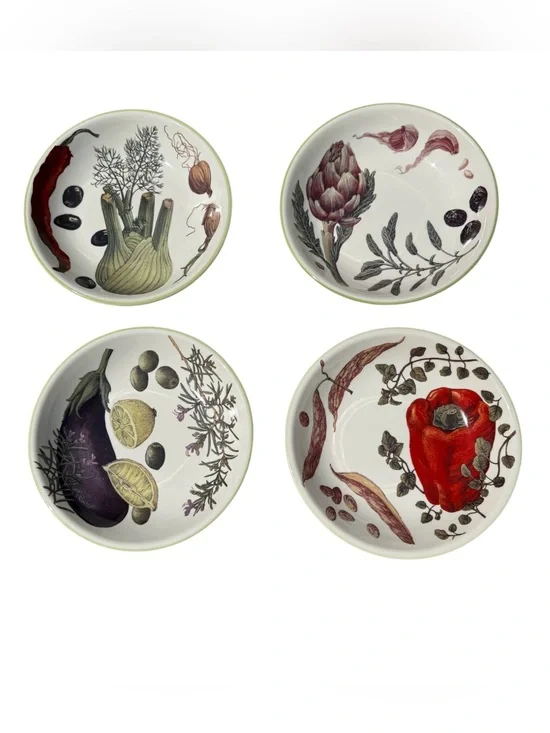 Williams Sonoma Vegetable & Herb Pasta Bowls Set 4 Portugal Discontinued 9.5”