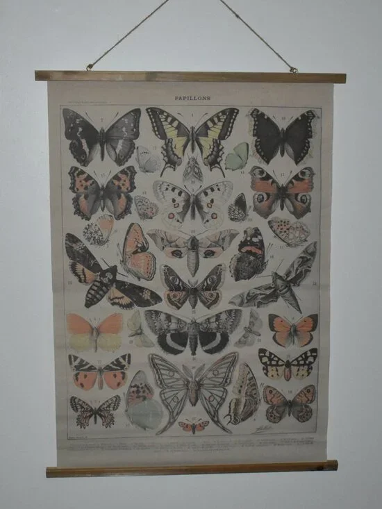 Butterfly Moth Large Linen Canvas Scroll Tapestry Boho Cottagecore Wall Decor