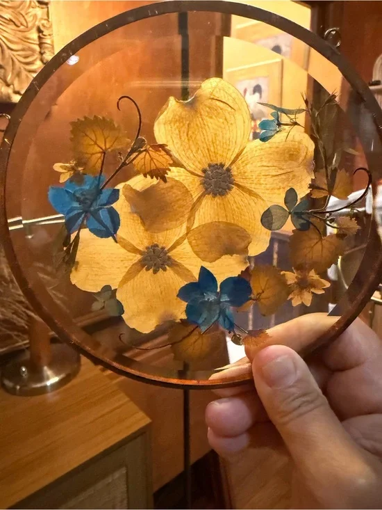 Vintage Pressed Flower Glass Suncatcher Frame 6