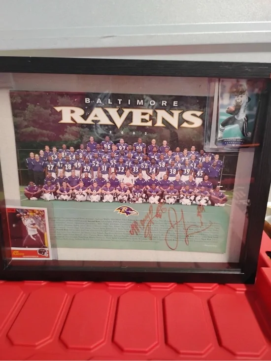 Framed Team Photo - Purple