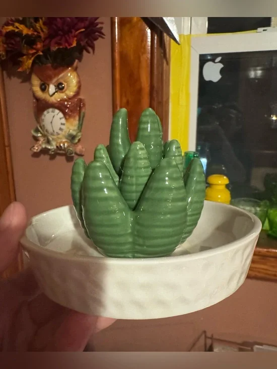 Ceramic Aloe Ring Holder