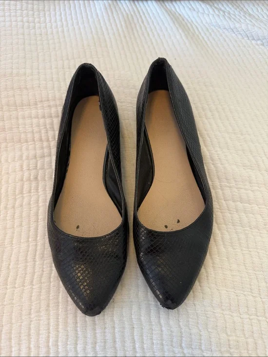 Black Pointed Toe Women's Ballet Flats