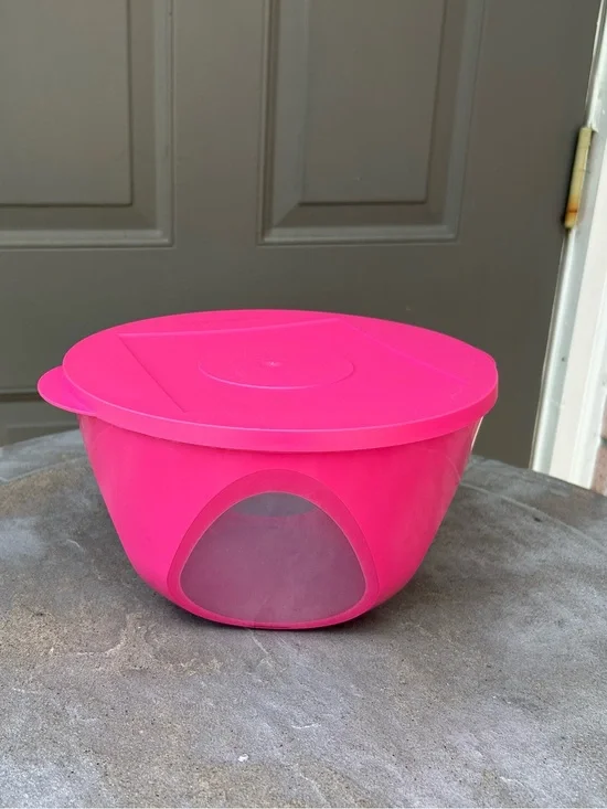 Tupperware Outdoor Dining Bowl 10 ½” Cups