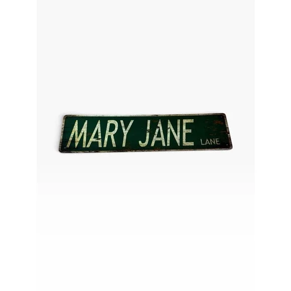 New Novelty Collectible Metal Sign MARY JANE LANE street sign