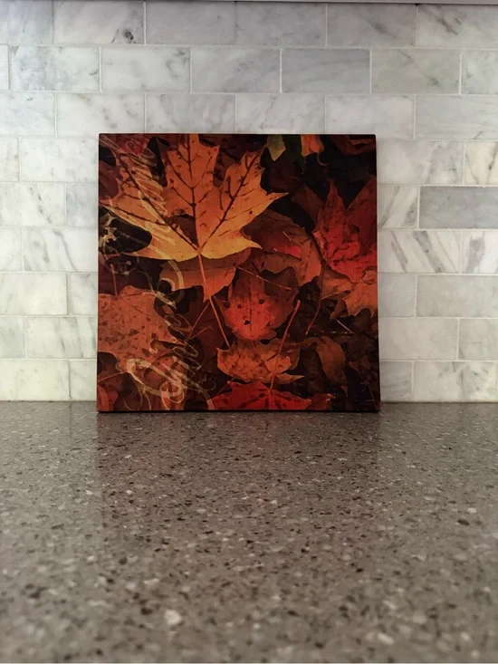Autumn Leaves Wall Art Canvas in Warm Orange and Brown (190)