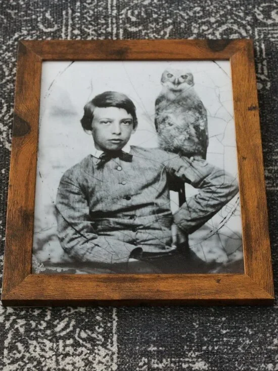 Framed Vintage Boy with Pet Owl Tintype 1860s Portrait Photo Print 8x10
