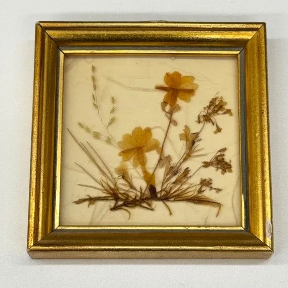 Vintage Dina West Germany Miniature Pressed Flower Art Gold‎ Frame 3.75