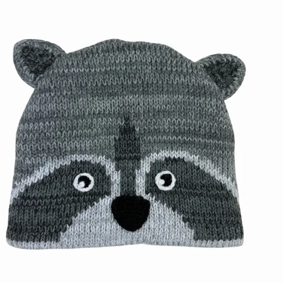 REI Raccoon Beanie Toboggan‎ Skull Cap Toddler Grey Fleece Lined Knit Boys Kids