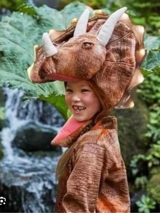Pottery Barn Kids Brown Triceratops Halloween Costume