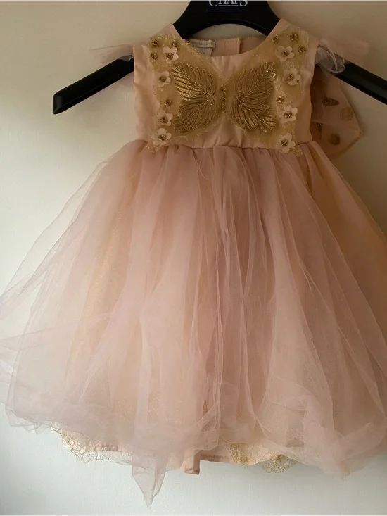 Pottery Barn Kids Pink Tulle Dress with Gold Embroidery