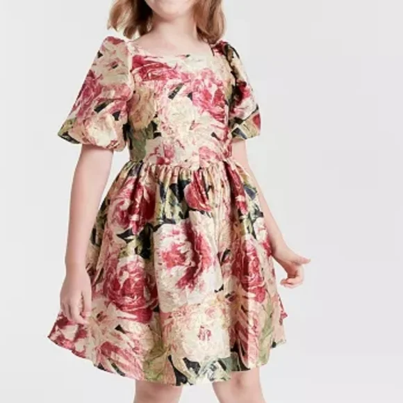 Rare Editions‎ Big Girls Floral Organza Dress Size 14
