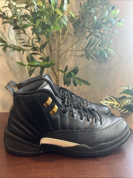 Air Jordan 12 Retro 