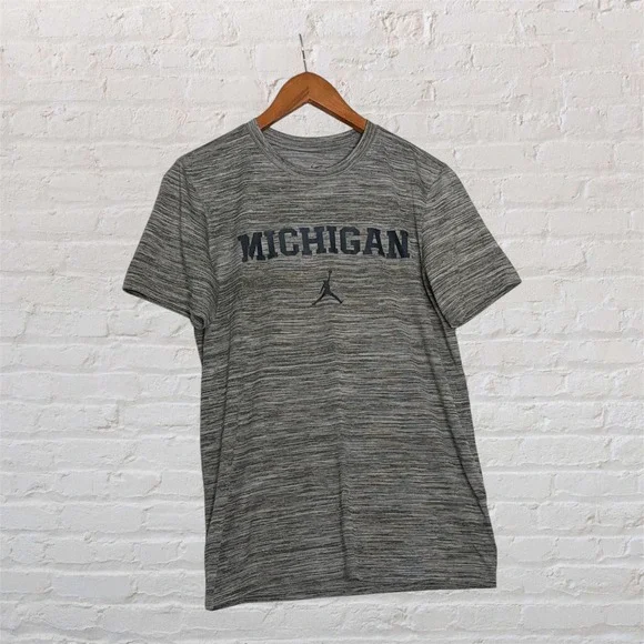 Jordan Michigan Wolverines Dri-FIT Grey Space Dye T-Shirt Small Jumpman NCAA
