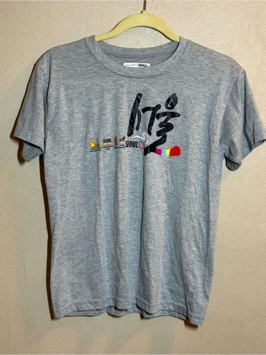 Seoul South Korea Korean Hangeul Landmark Gray T-Shirt Sz Sm