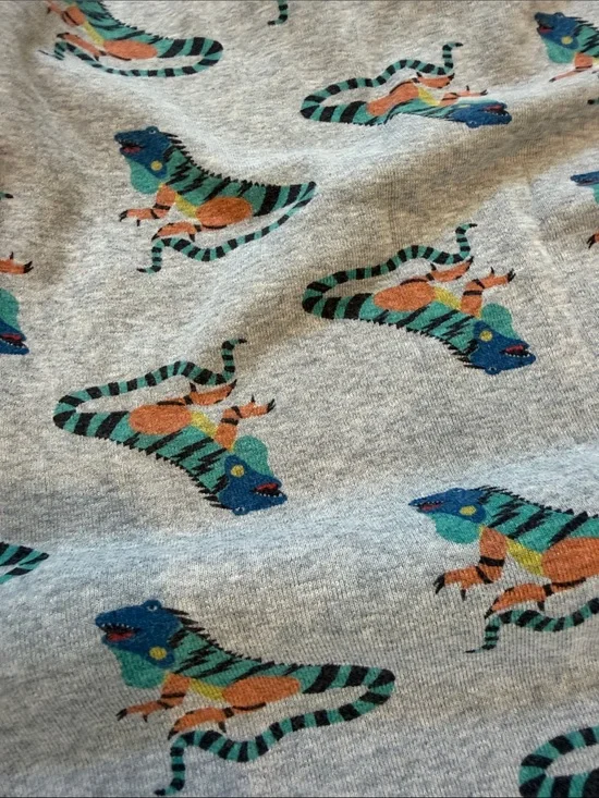 Hanna Andersson Gray Iguana Print Cotton Pajama Short Set