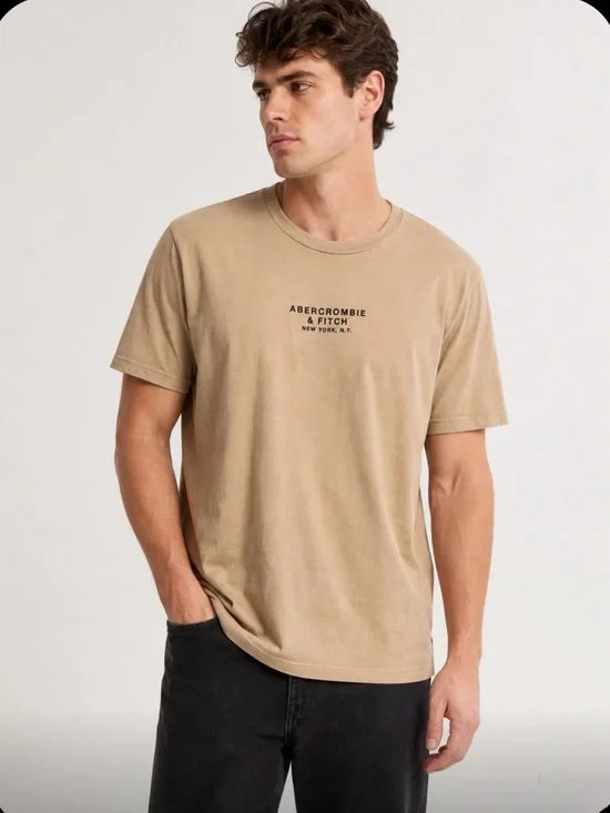 Abercrombie & Fitch Men's Tan Logo Crewneck Tee men’s large