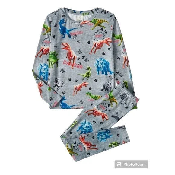Boys' Casual Dinosaur Family Printed Round Neck Pullover Sweatshirt And Pant PJS