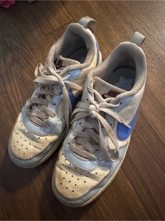 Nike Kids White and Blue Low-Top Sneakers dunks
