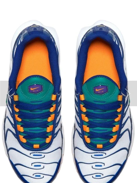 Nike Air Max Plus Neptune Green, White, Blue