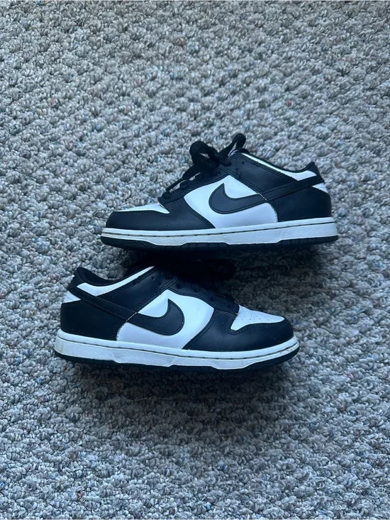 Kids Low Top Nike Dunks