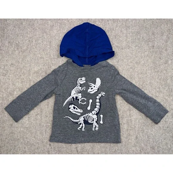 The Children's Place Boys 12-18M Gray Blue Long Sleeve Dino Graphic Hooded Shirt