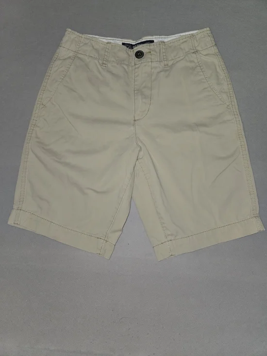 American Eagle Outfitters Men's Light Tan Flat Front Shorts