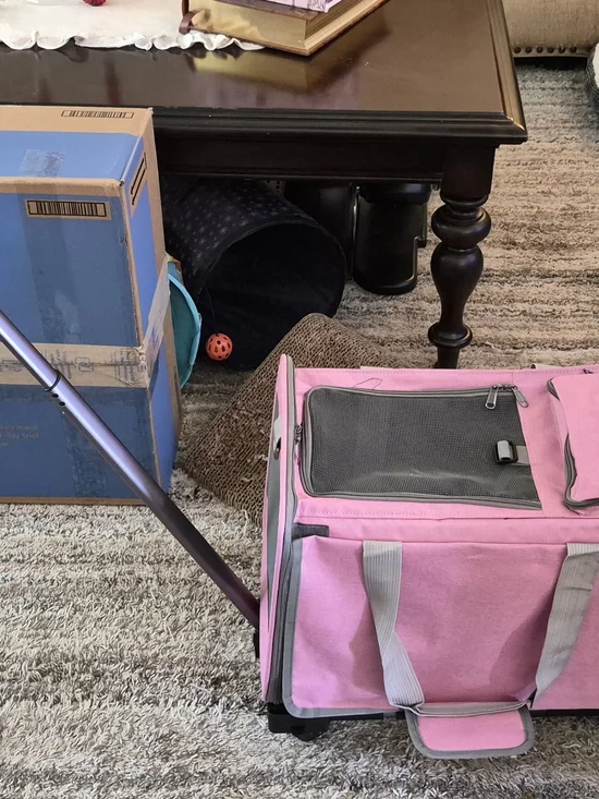 Pink Rolling Small Pet Carrier with Mesh Ventilation and Telescoping Handle
