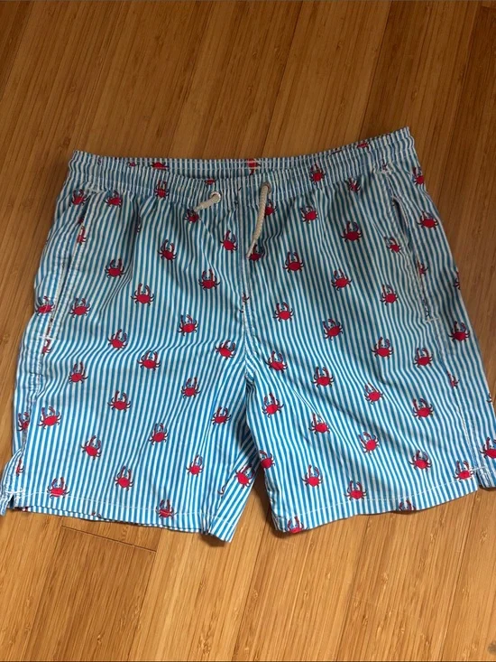 MC2 Saint Barth Kids Light Blue & White Striped Swim Shorts with Red Crab Print