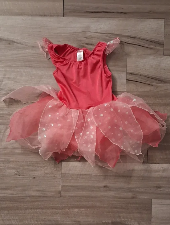Gymboree Fairy Sparkle Vintage Halloween Costume Petal Tutu Size 5-6 (M)