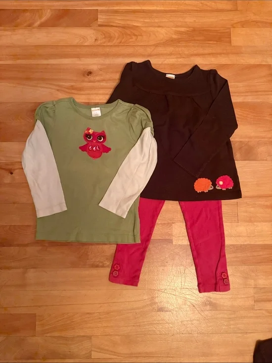 Gymboree Green Long Sleeve Top with Pink Owl Applique