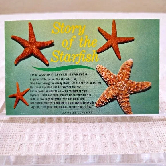 Vintage Story of the Starfish The Quaint Little Starfish HS Crocker Postcard UNP