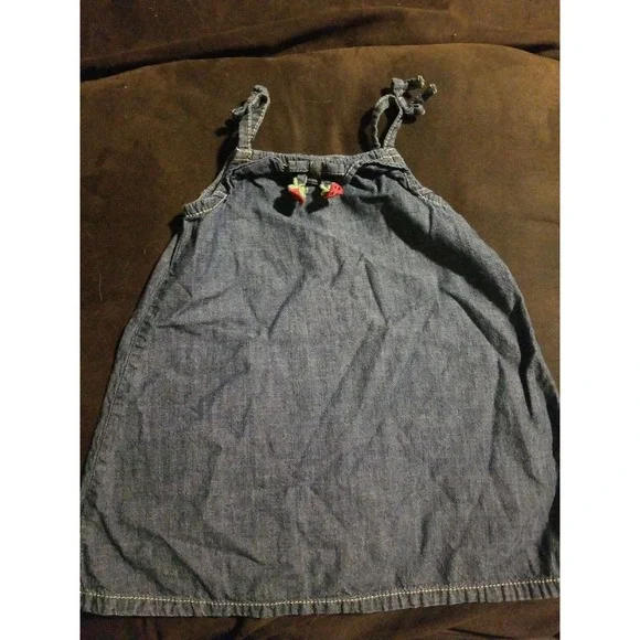 Gymboree outlet burst‎ of spring dress 12 18 months