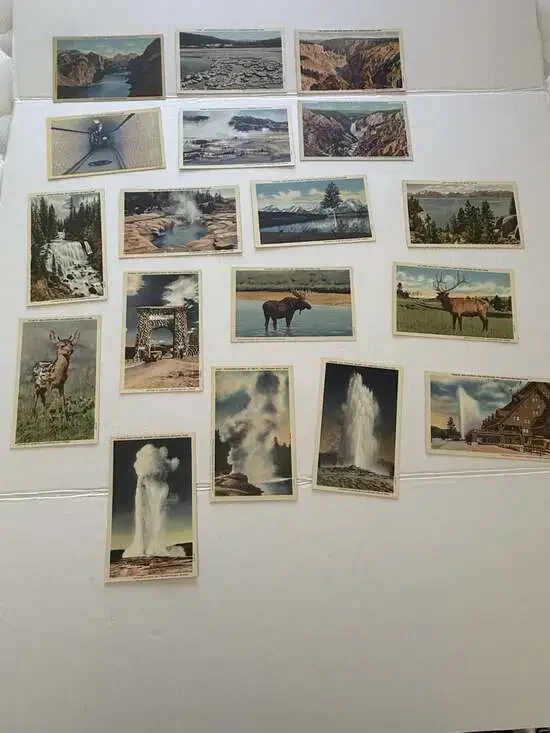 18 Vintage Yellowstone National Park Linen Postcards Unposted Old Faithful Wildl