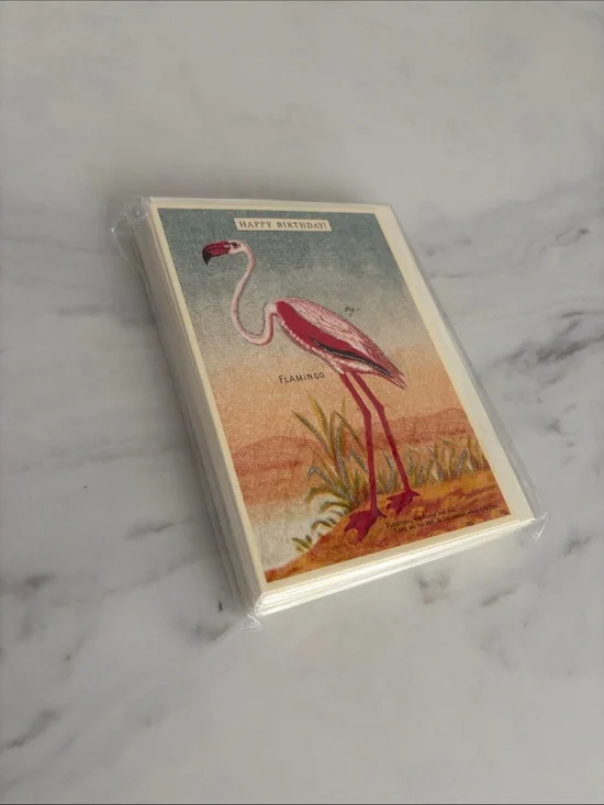 Cavallini & Co - San Francisco- Flamingo Birthday Greeting Cards - Pack of 12