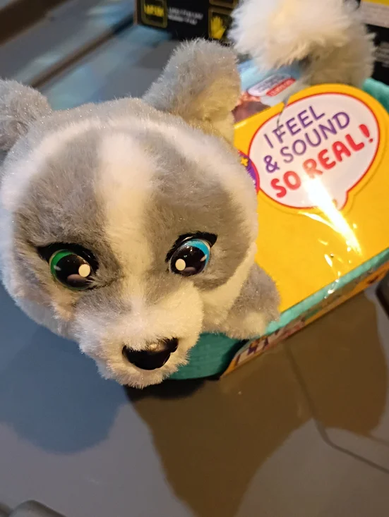 Plush Small Pet Toy in Gray with Teal Bed - Brand: